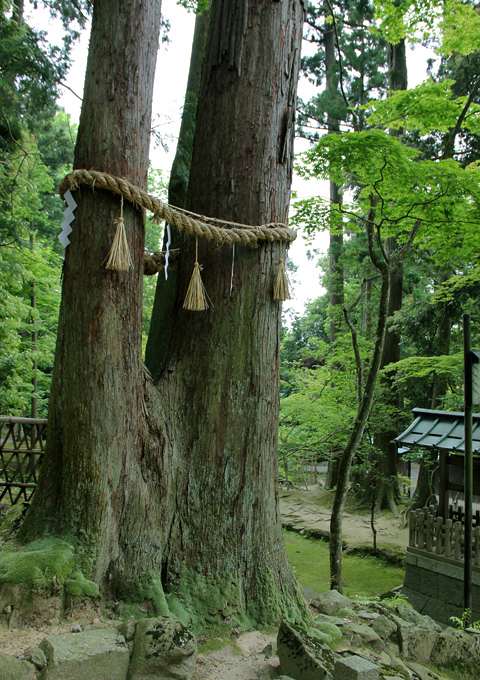 湖東三山 西明寺
