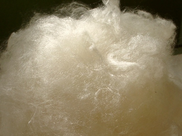 真綿 Muuのブログ