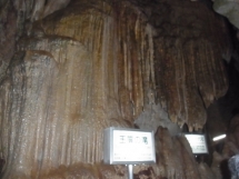 20140719kouti2