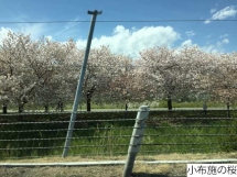20160423kijima3