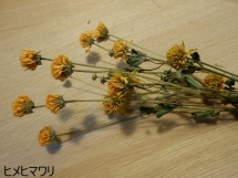 DSCN2231