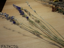 DSCN2221