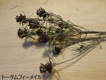 DSCN2210