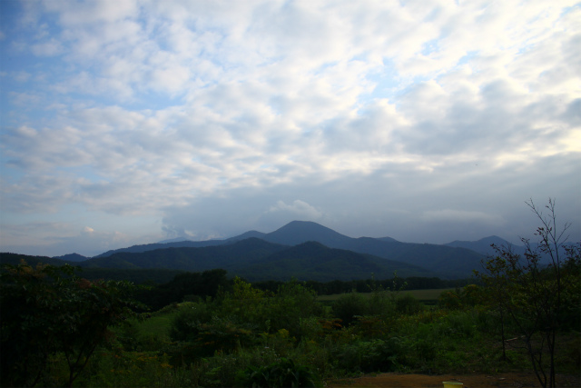 IMG_2277.jpg