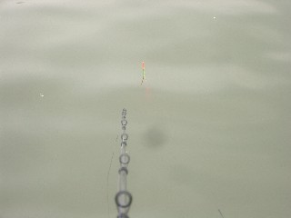 浮き釣り