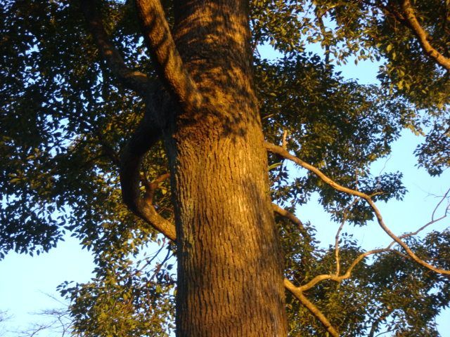 2010.12月 006.jpg