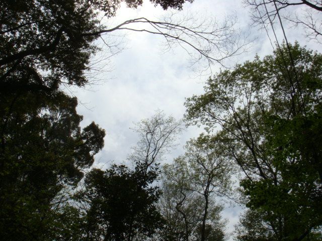 2012.4·î 028.jpg