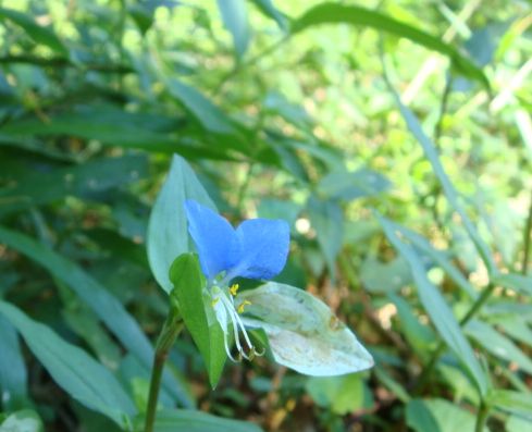 2011.7月 008.jpg