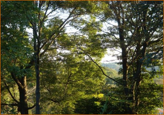 2011.10月 011.jpg