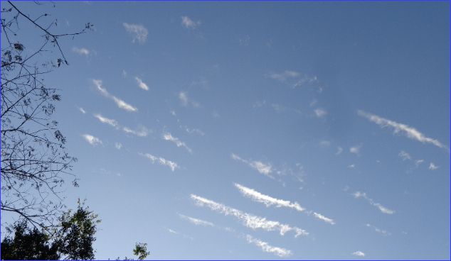 2014.10.22 006.JPG