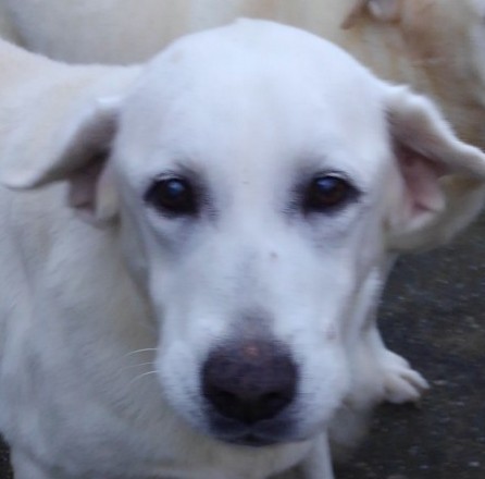 Effect_20200910_193357.jpg