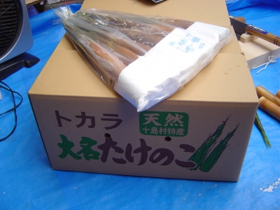 こんな感じで出荷