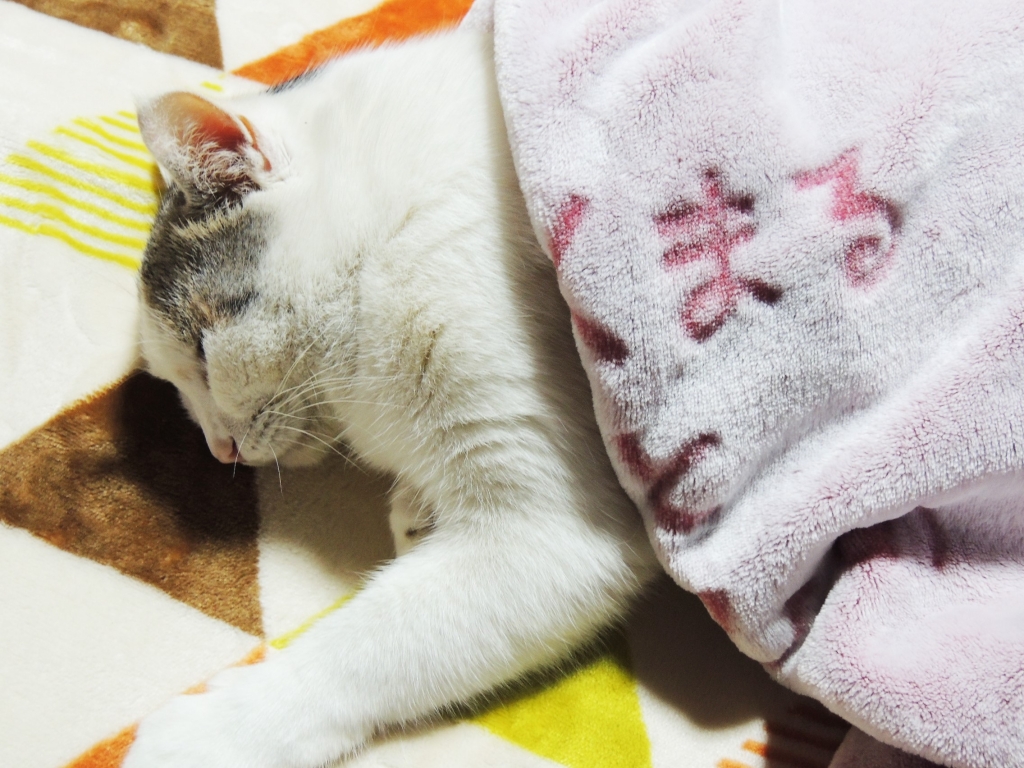 疲れた?