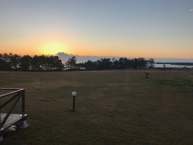 image1.jpeg