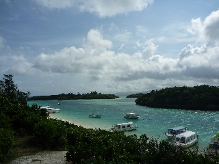 P1000444.jpg