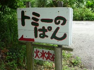 P1000453.jpg