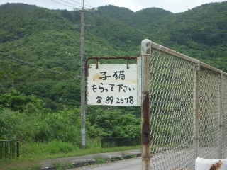 P1000458.jpg