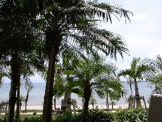 R0010504.jpg