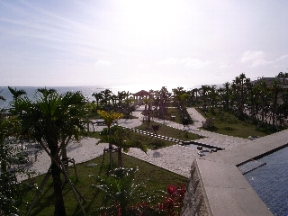 R0010529.jpg