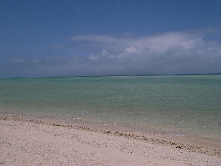 R0010553.jpg