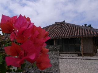 R0010565.jpg
