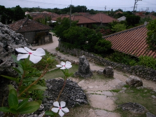 R0010582.jpg
