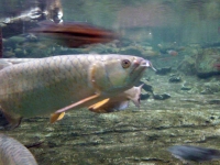 2009ǯ5·î22Æü̾¸Å²°¹Á¿å²´Û£