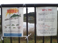 大根池の池干し1