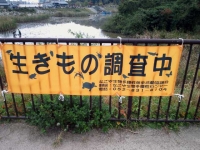 大根池の池干し3