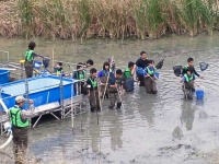 大根池の池干し4