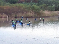 大根池の池干し6