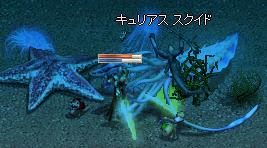 キュリアススクイド交戦
