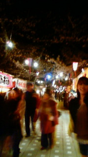 201003301950000.jpg