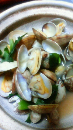 201104031929000.jpg