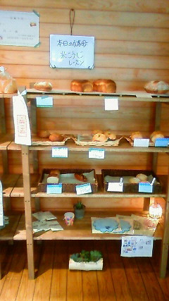 201106171241002.jpg
