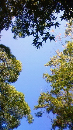 200910041230000.jpg