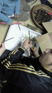 201012301631000.jpg