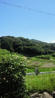 201107161352000.jpg