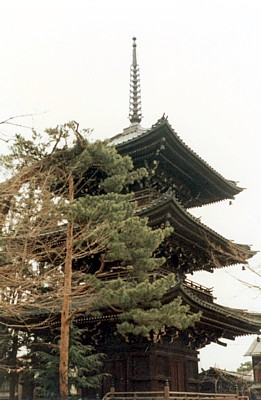 国分寺1