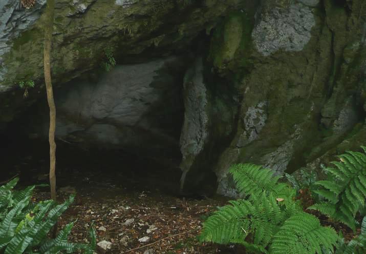 秋吉台 洞窟探検 秋吉台を歩きながら