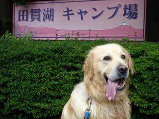 田貫湖