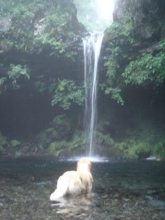 滝に
