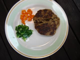 わんバーグ