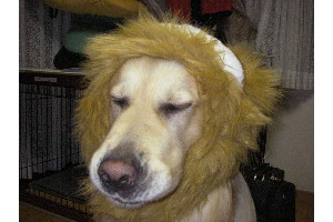 ら