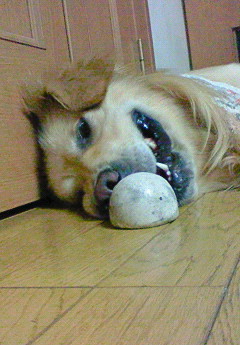 こわっ