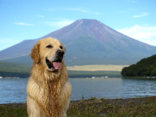 山中湖