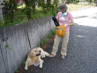 今から
