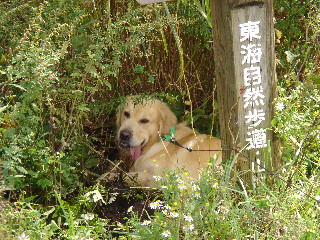しんど
