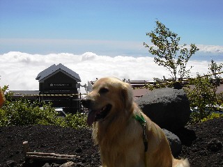 ラルフと雲海