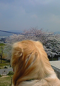ºù¤ò¸«²¼¤í¤¹